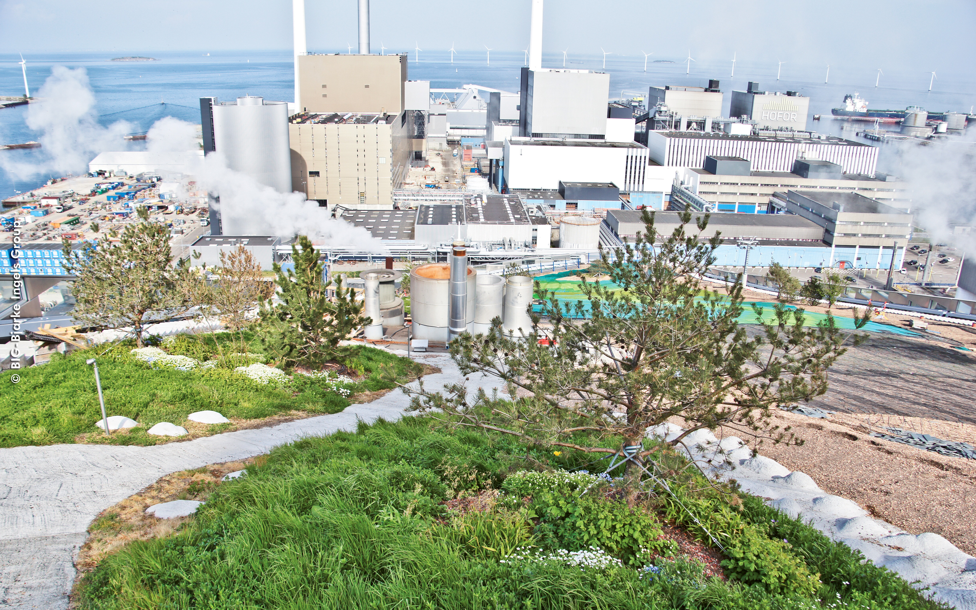 Pitched green roof with walkways, perennials, shrubs and small trees